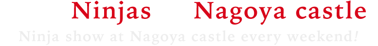 Meet Ninjas at Nagoya castle!<br>Ninja show at Nagoya castle every weekend!